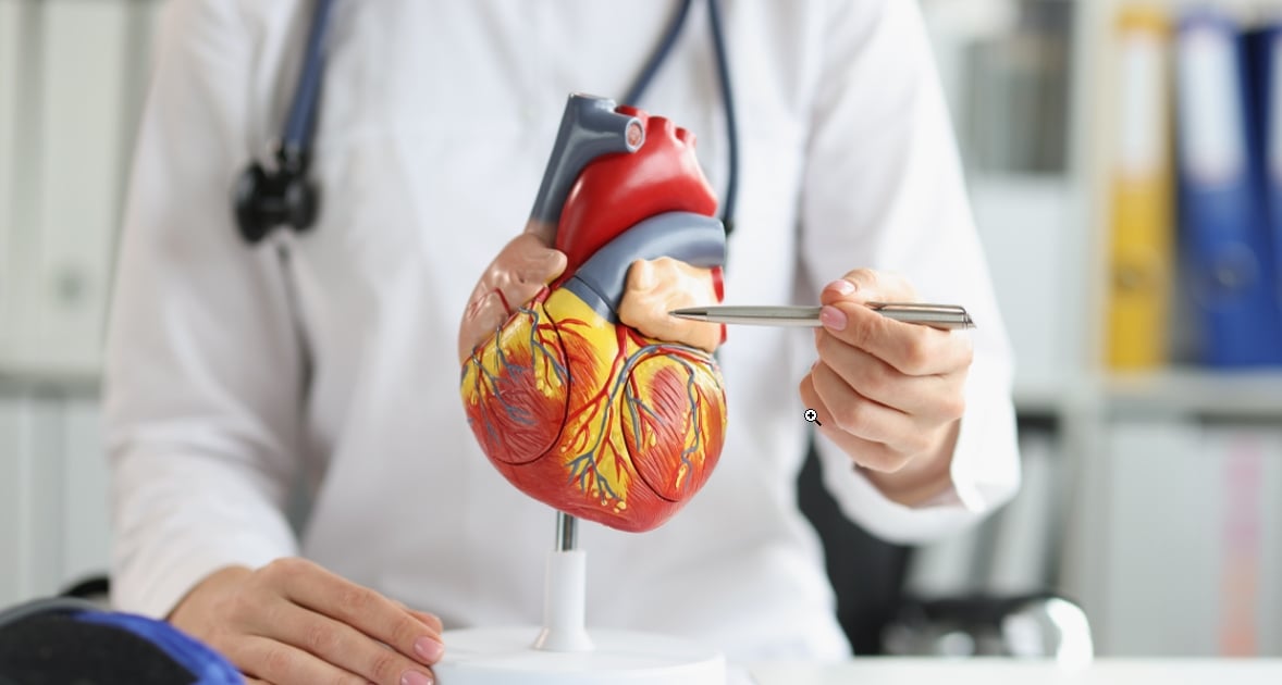 হার্ট ব্লকের উপসর্গ কী hrt block