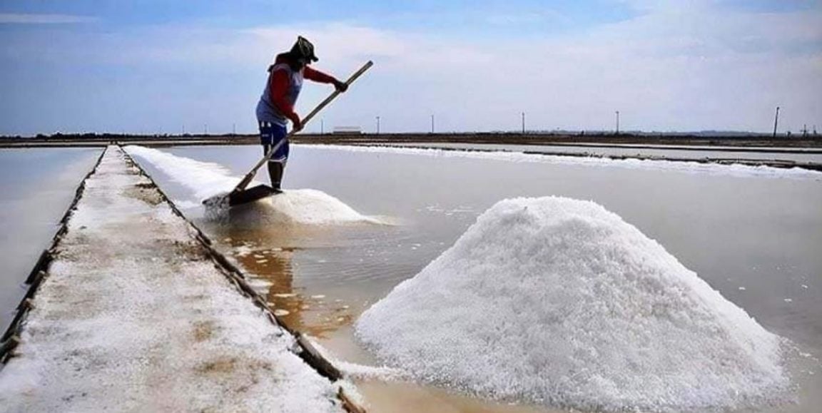 কক্সবাজারের উৎপাদিত লবন