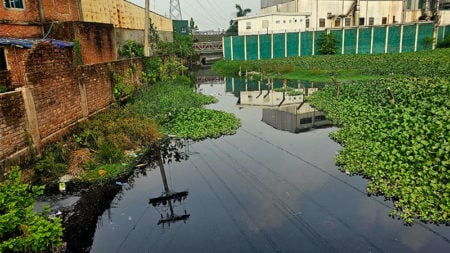 গাজীপুরে শিল্প-কারখানার বিষাক্ত বর্জ্যে মৃতপ্রায় লবনদহ নদী