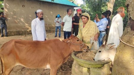 সেই ঝাড়ু বিক্রেতা গরু উপহার পেল, টাকাও ফেরত পেল