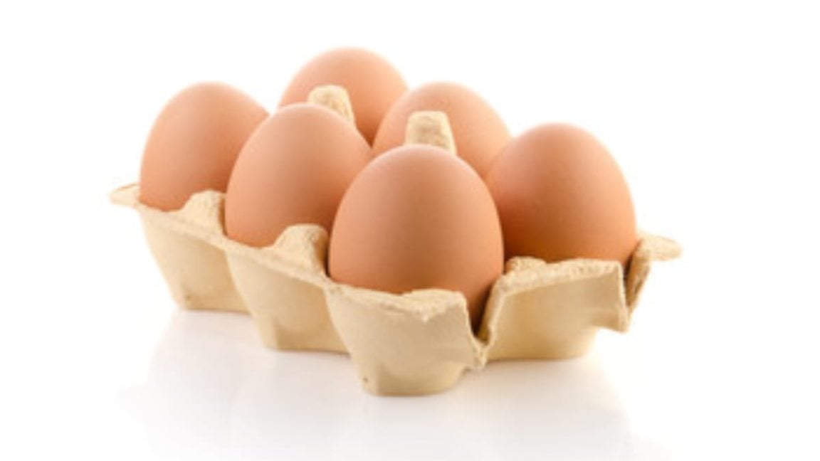 Egg