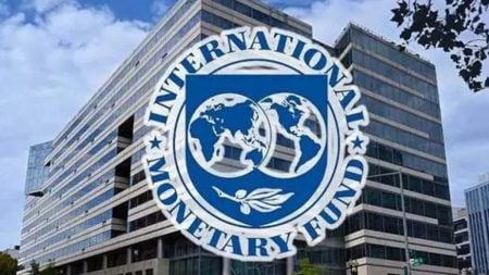 IMF