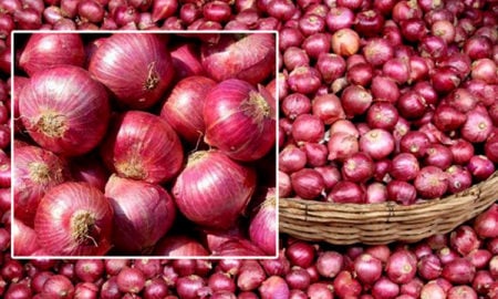 Indian Onion