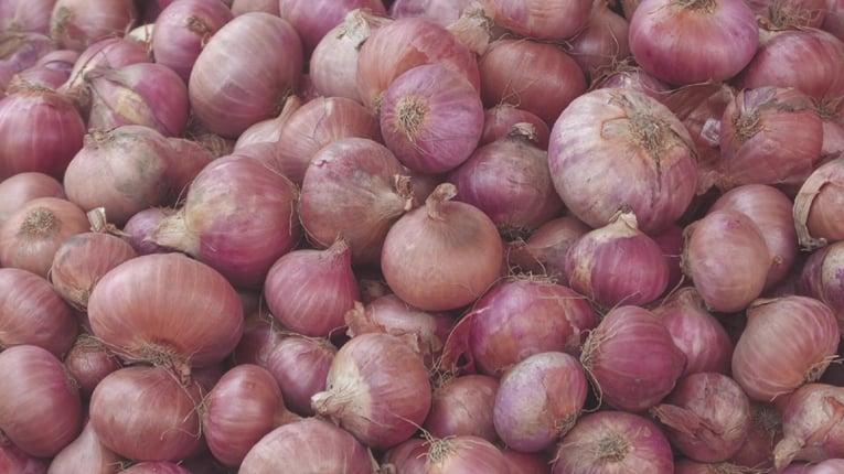 Onion