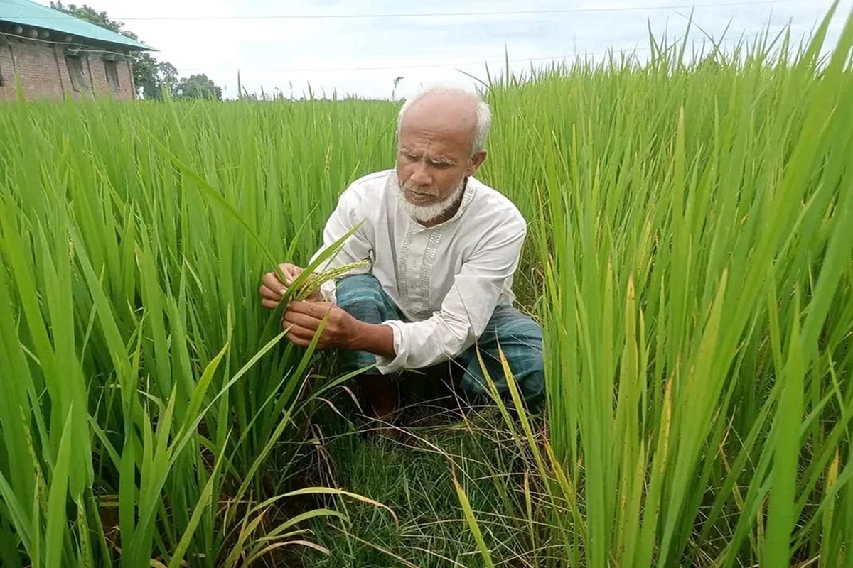 নূর মোহাম্মদ