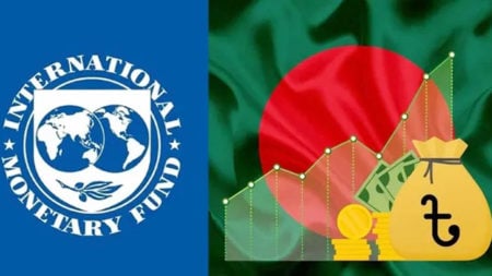 imf-bd