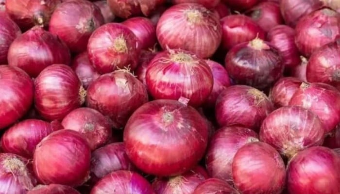 Onion