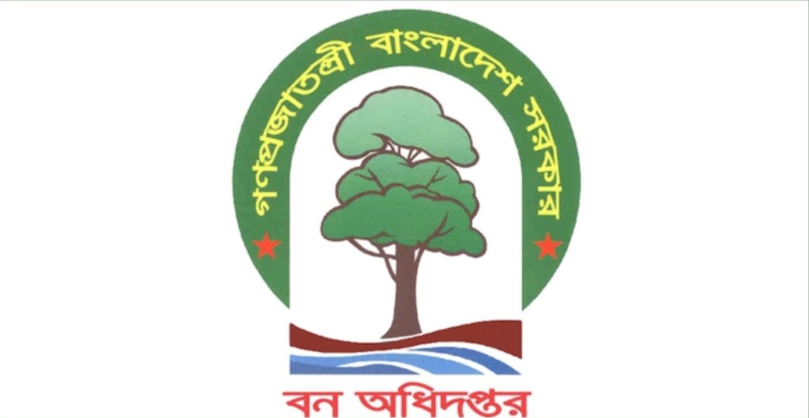 বন অধিদপ্তর