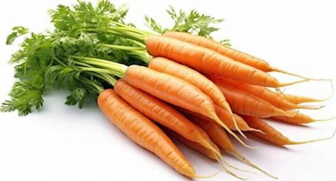 carrot