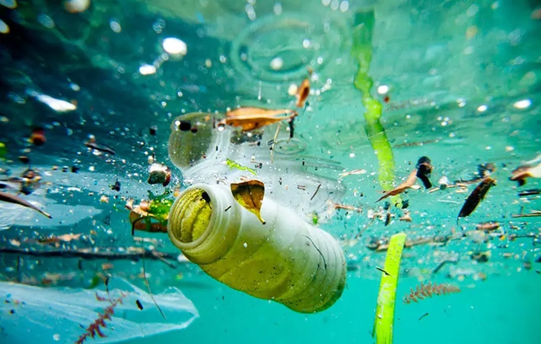 plastic pollution