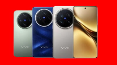 Vivo X300