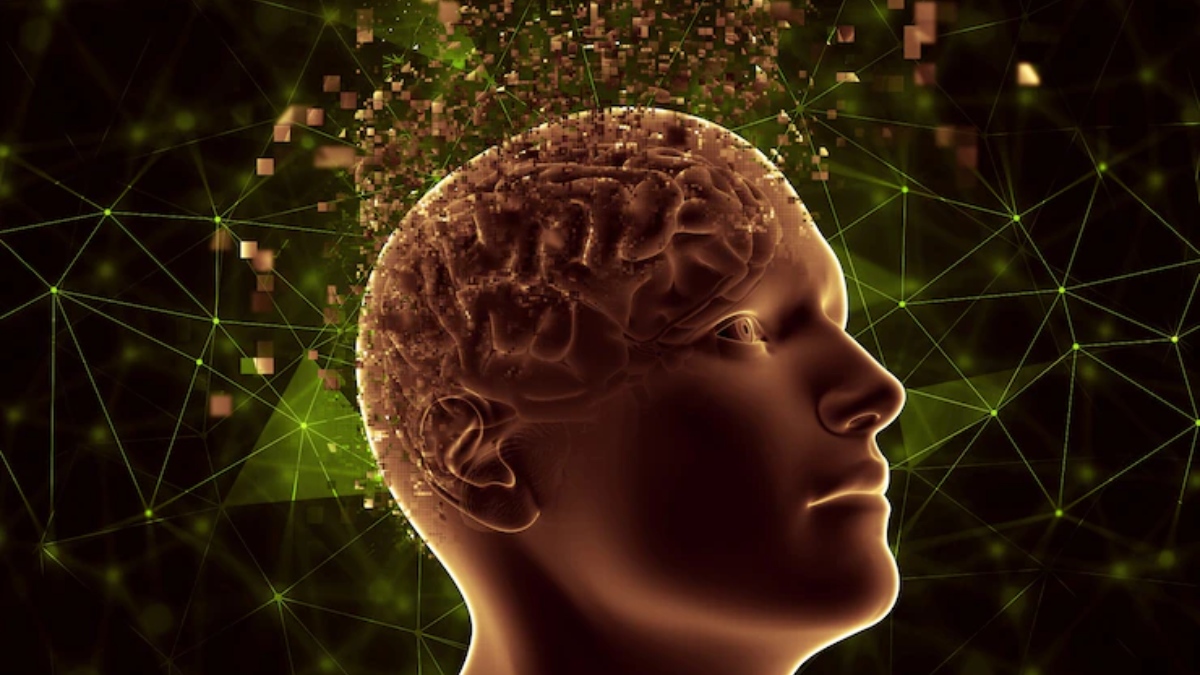 Brain