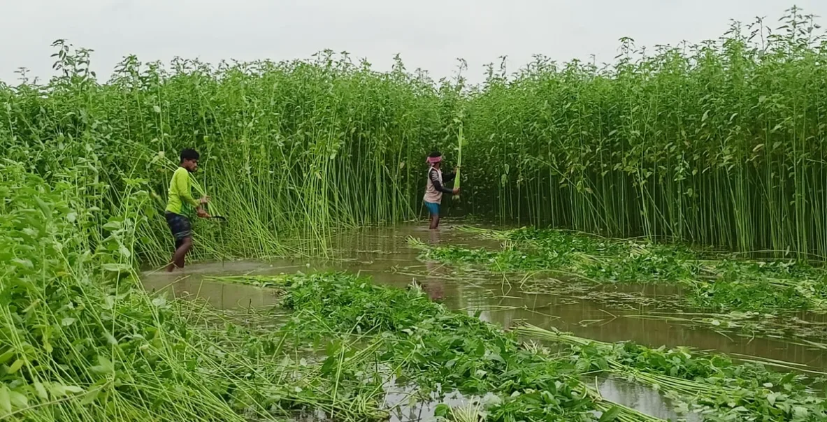 ঋণে বিশেষ সুবিধা