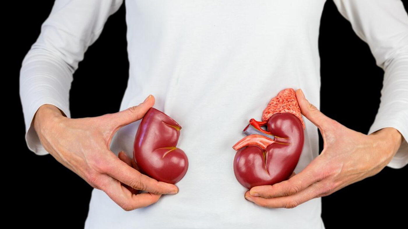 কিডনি ড্যামেজ 