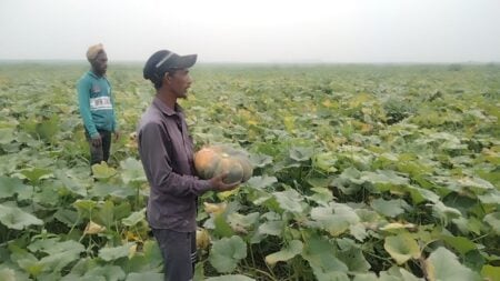 বাজার সিন্ডিকেট কেড়ে