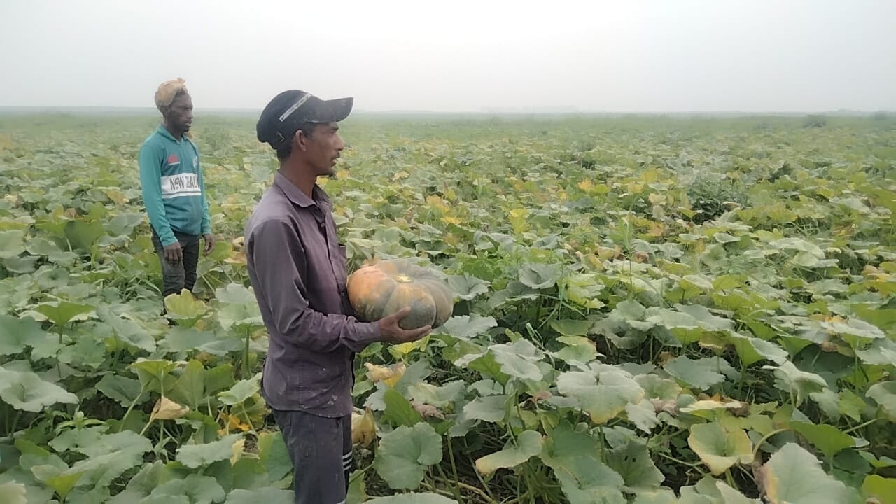 বাজার সিন্ডিকেট কেড়ে