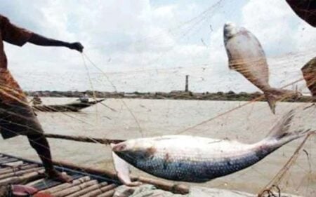 ২৫ সেন্টিমিটারের চেয়ে