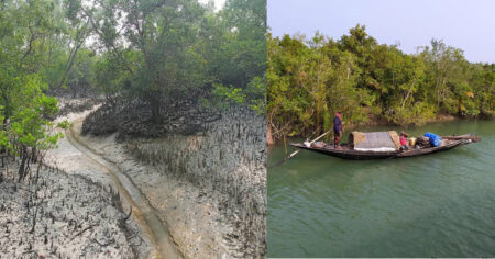 সুন্দরবনে রেড অ্যালার্ট জারি, ঈদের ছুটি বাতিল