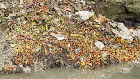 টমেটোর কেজি ২ টাকা