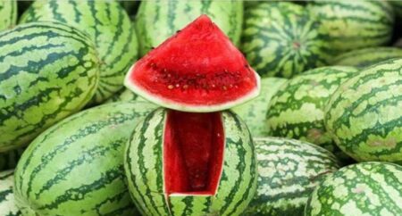 রাজধানীতে তরমুজ মিলছে