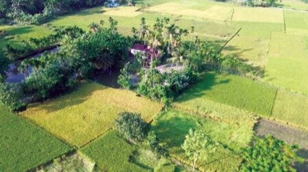 সেই উমানাথপুর গ্রাম বিক্রি হলো ১৫ লাখ টাকায় সেই উমানাথপুর গ্রাম