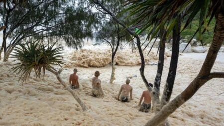 ঘূর্ণিঝড় আলফ্রেডের আঘাতে