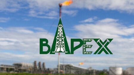 বাপেক্স