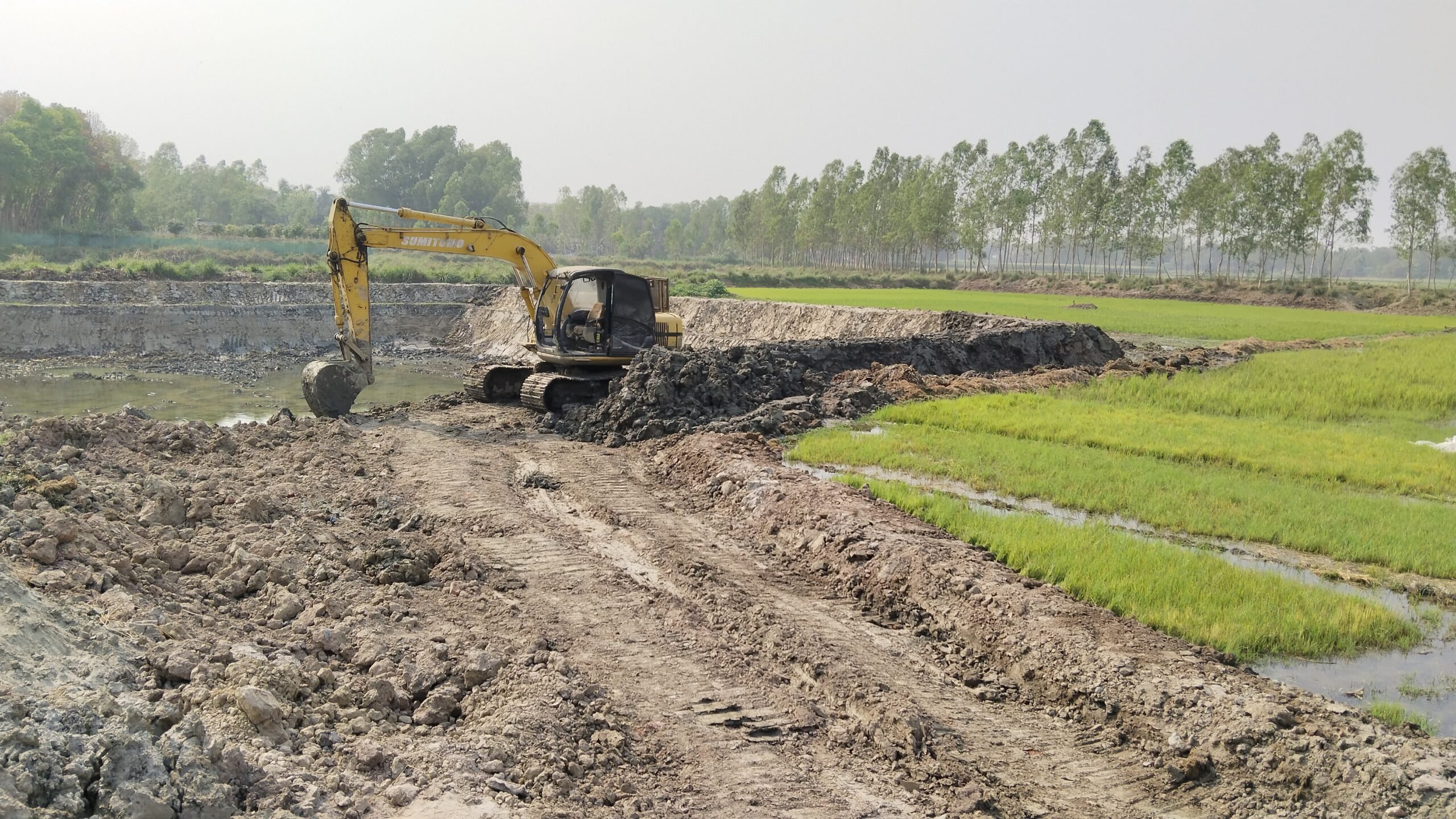 Manikganj 