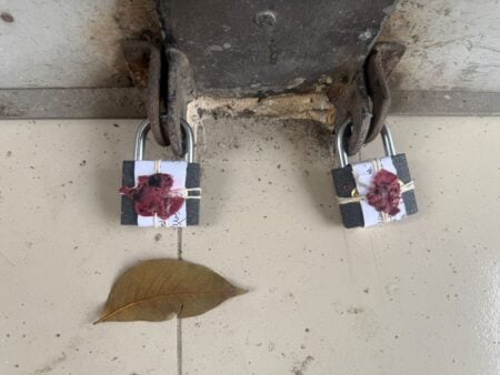 Picture Kaliganj (4)