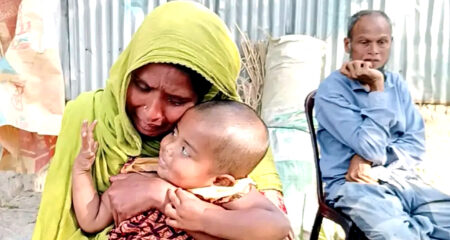 প্রবাসী