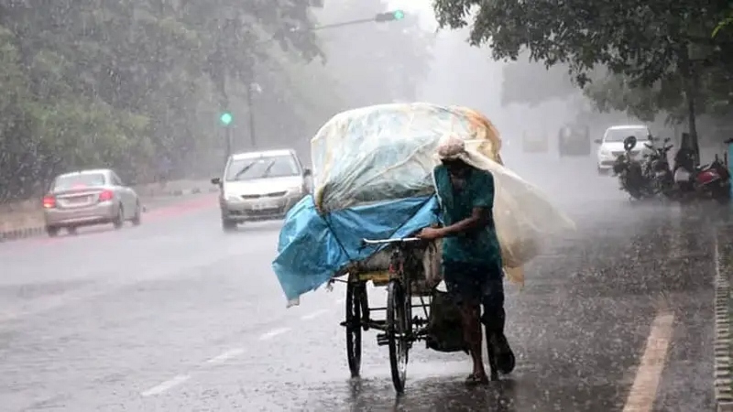 Rain