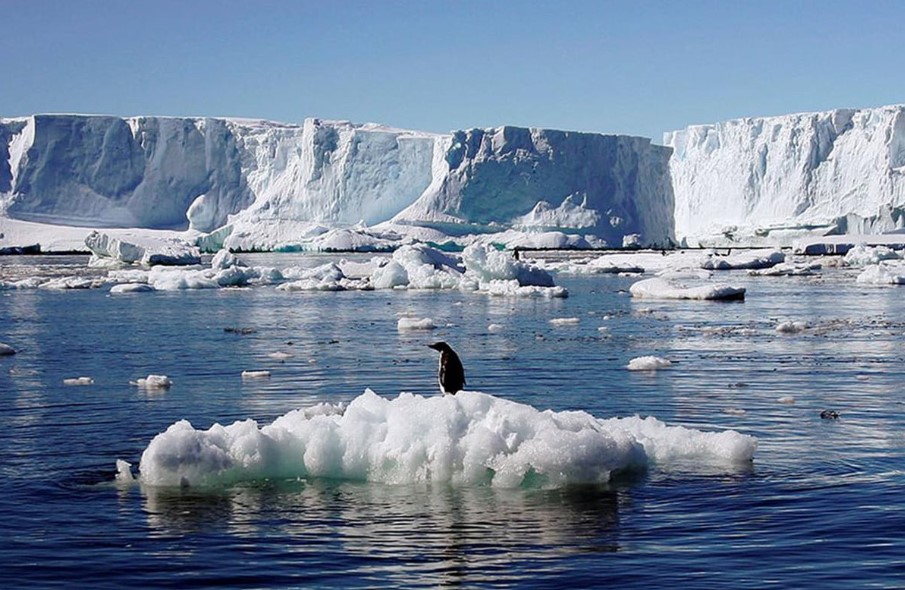 Sea level