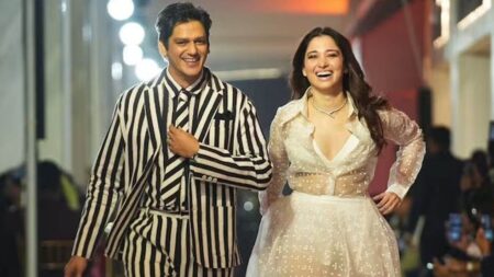 বিয়ে ভাঙতে কেন বাধ্য হলেন তামান্না? মুখ খুললেন নায়িকা!