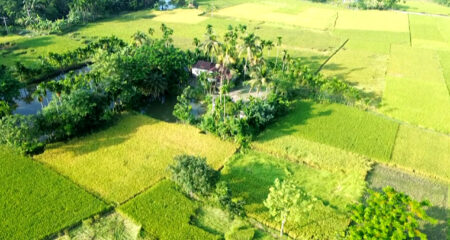 ১৫ লাখ টাকায় বিক্রি হলো পুরো উমানাথপুর গ্রাম Village