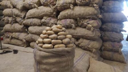 হিমাগারেও সিন্ডিকেট