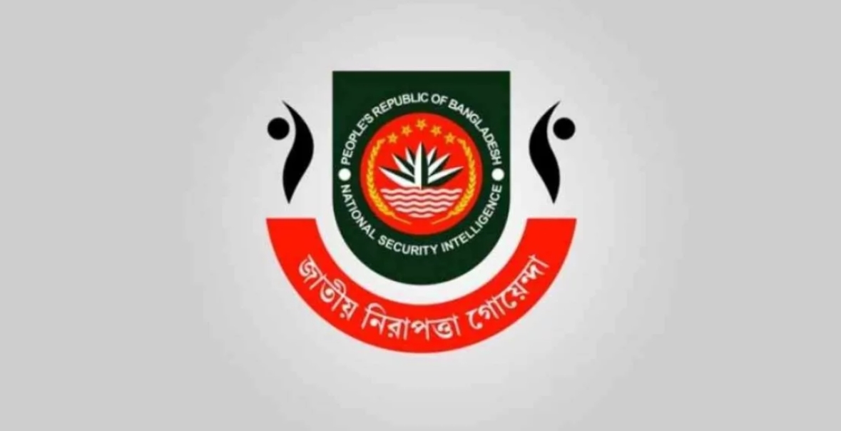 এনএসআই