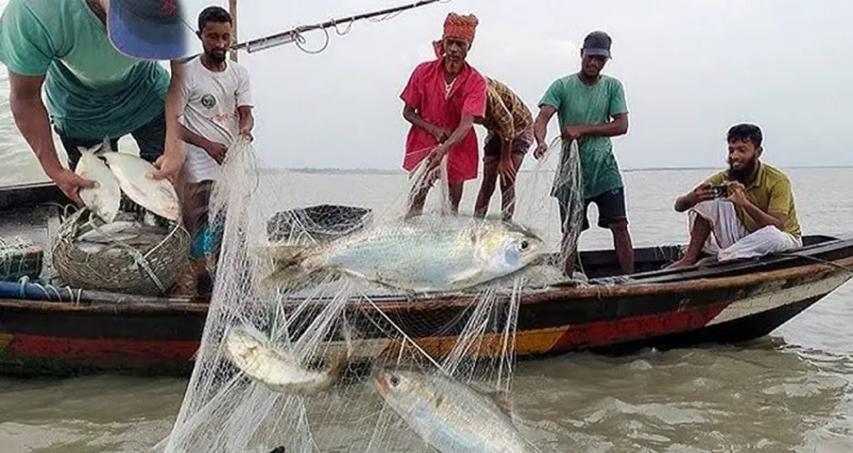 মাছ ধরায় নিষেধাজ্ঞা