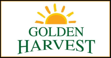 গোল্ডেন হারভেস্টে চাকরির সুযোগ, থাকছে না বয়সসীমা গোল্ডেন হারভেস্ট