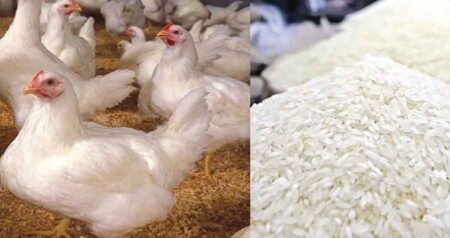 মুরগির দাম