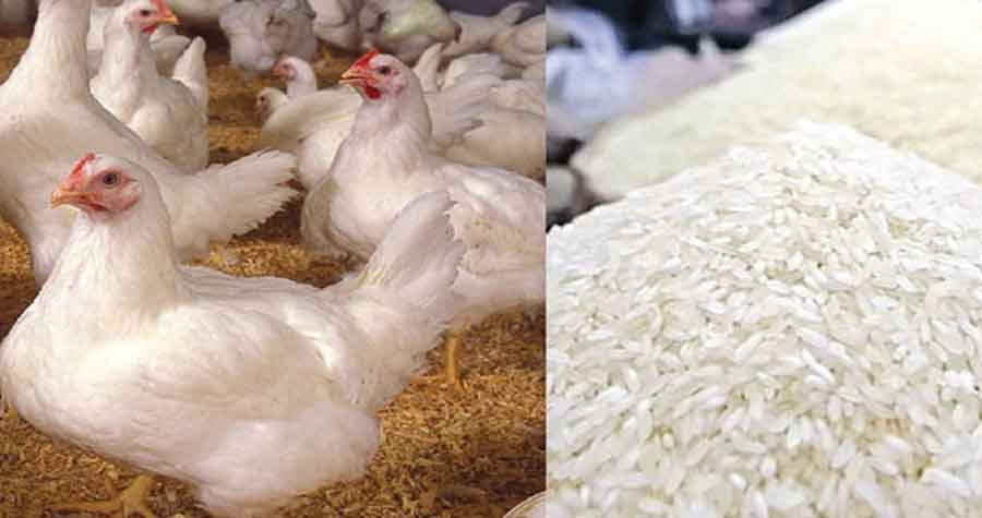 মুরগির দাম