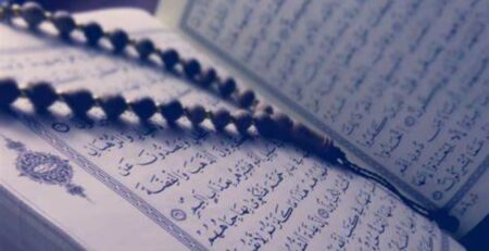 সৌভাগ্যের মূল ভিত্তি