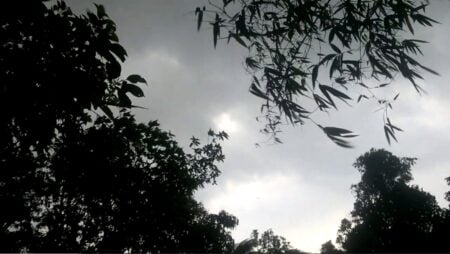 কালবৈশাখী ঝড়