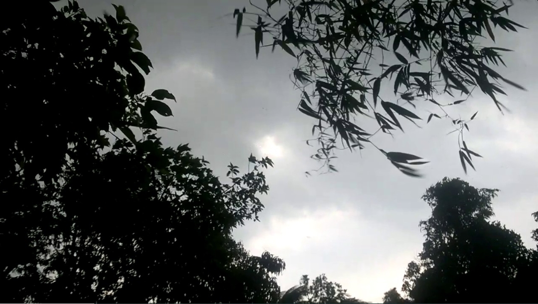 কালবৈশাখী ঝড়