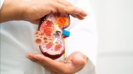 কিডনি ঠিকমতো কাজ করছে কি না বুঝবেন যে লক্ষনে কিডনি