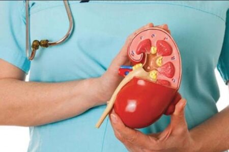কিডনি বিক্রি
