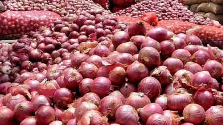 onion