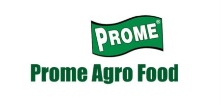 এক্সিকিউটিভ নিয়োগ