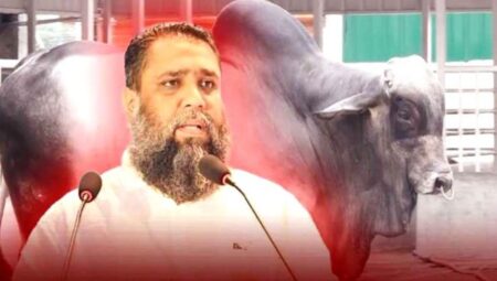 সাদিক অ্যাগ্রোর চেয়ারম্যান ইমরান