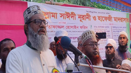 শামীম সাঈদী