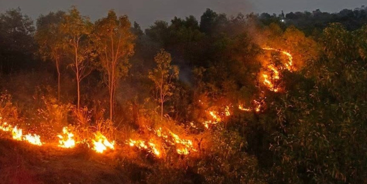 টিলায় আগুন